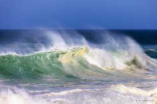 Wave at Pt. Reyes-6466